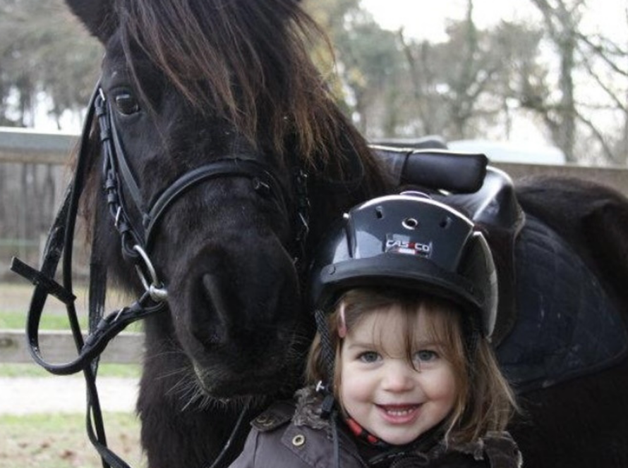 baby poney