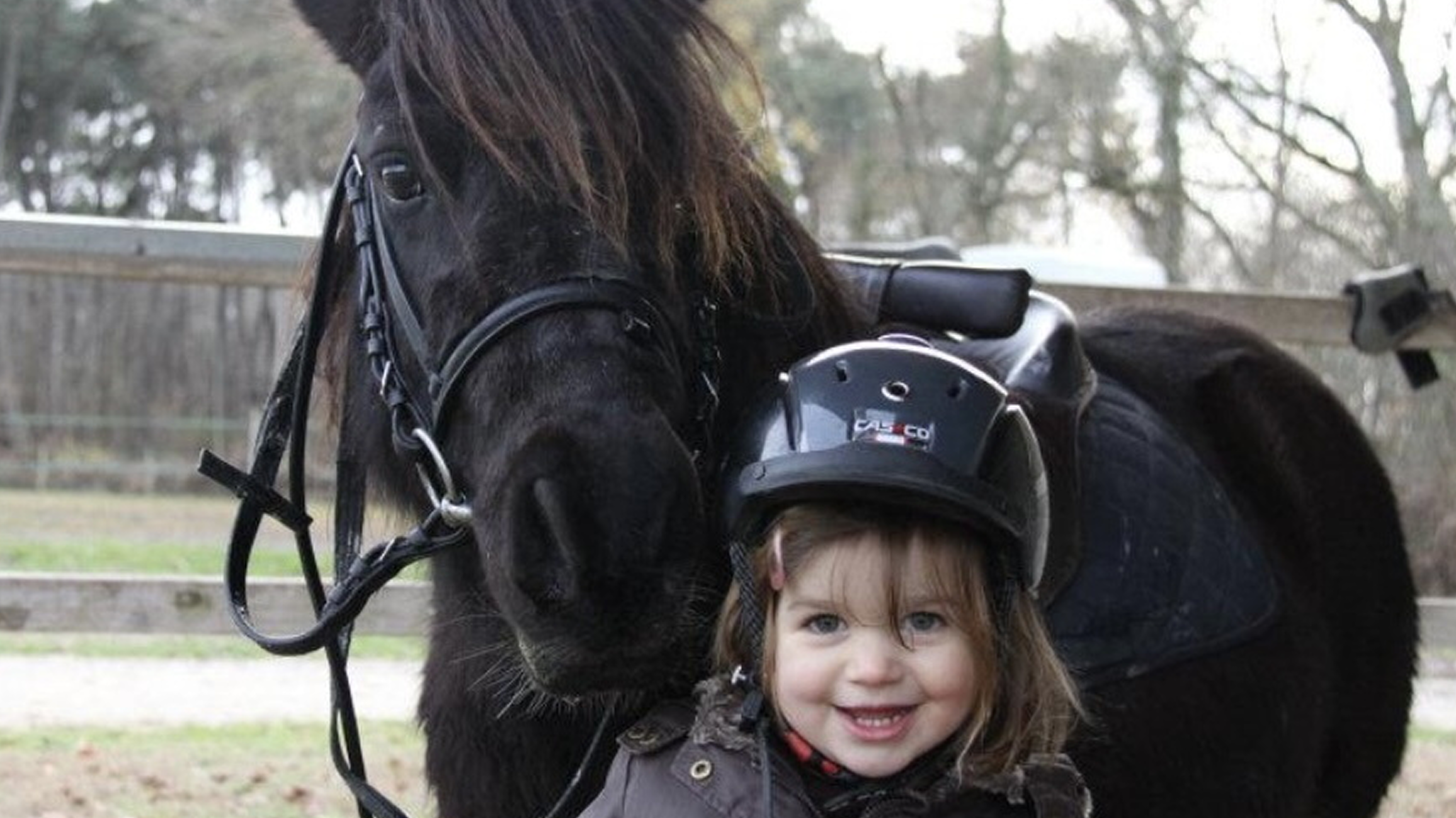 Le “Baby Poney”