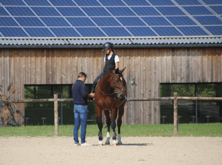 cours particulier