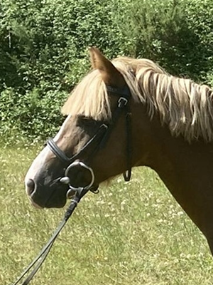 Portrait Farine